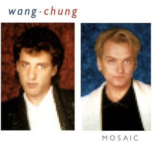 MOSAIC