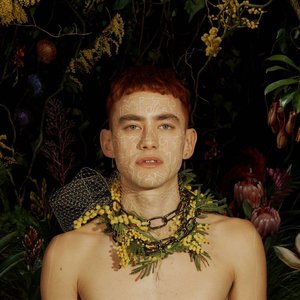 PALO SANTO