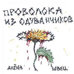 ПРОВОЛОКА ИЗ ОДУВАНЧИКОВ