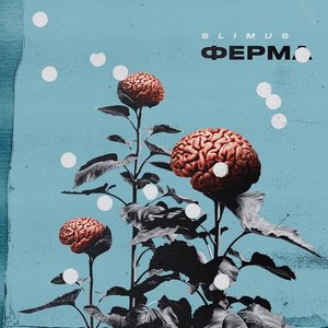 ФЕРМА