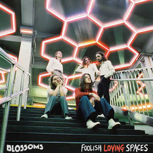 FOOLISH LOVING SPACES