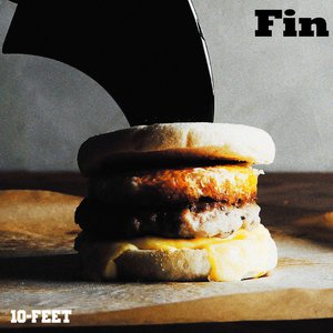 FIN