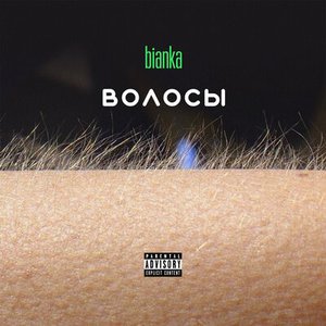 ВОЛОСЫ
