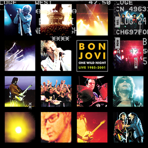 ONE WILD NIGHT LIVE 1985-2001