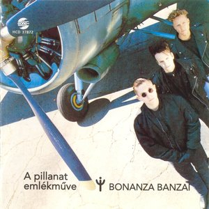 A PILLANAT EMLÉKMŰVE