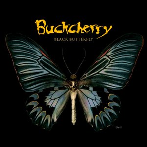 BLACK BUTTERFLY