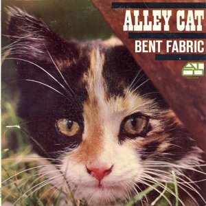 ALLEY CAT
