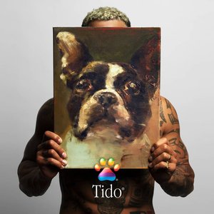 TIDO