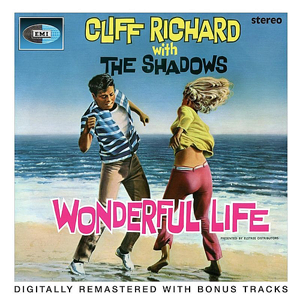 WONDERFUL LIFE