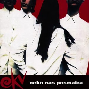 NEKO NAS POSMATRA