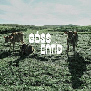 GÓSSENTÍÐ