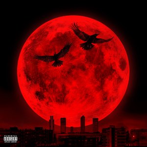 LUNA LLENA