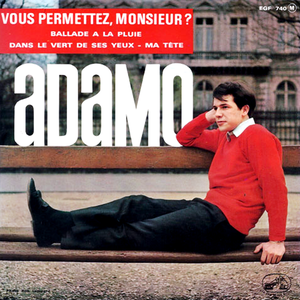 VOUS PERMETTEZ MONSIEUR?