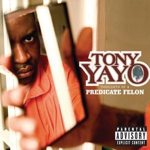 THOUGHTS OF A PREDICATE FELON