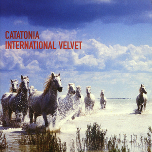 INTERNATIONAL VELVET