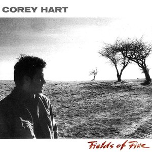 FIELDS OF FIRE